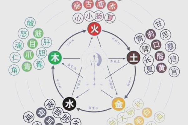 五行性格重塑:反而让你更强大,实用技巧大公开 五行性格重塑:反而让你更强大,实用技巧大公开