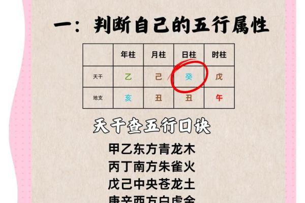 性格解析：五行格局教你如何读懂自己与他人的内在力量