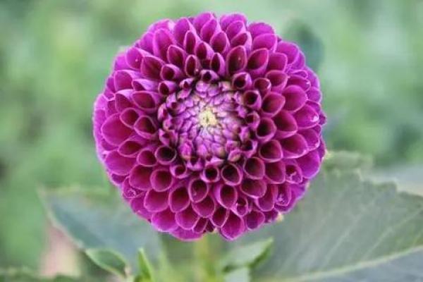 何锋命理人生：如何改变命运？揭秘八字中的颠覆性规律