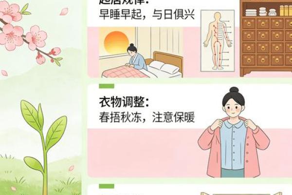 三月的节气与节日，探索春天的养生与风俗