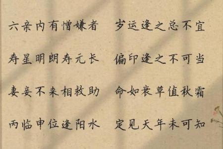 颠覆传统解读盲派命理如何真正改变命运