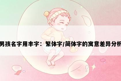 男孩名字用丰字：繁体字/简体字的寓意差异分析