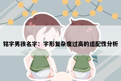 铭字男孩名字：字形复杂度过高的适配性分析