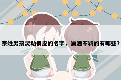 宗姓男孩灵动俏皮的名字，潇洒不羁的有哪些？