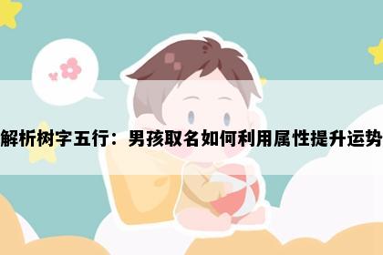 解析树字五行：男孩取名如何利用属性提升运势