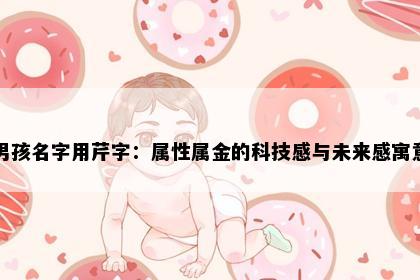 男孩名字用芹字：属性属金的科技感与未来感寓意