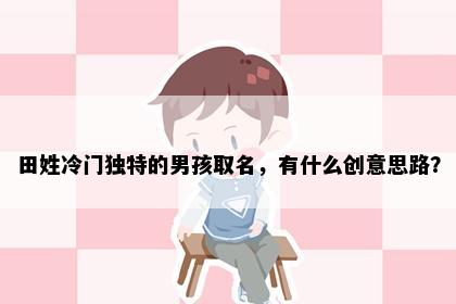 田姓冷门独特的男孩取名，有什么创意思路？