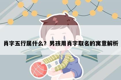 肖字五行属什么？男孩用肖字取名的寓意解析