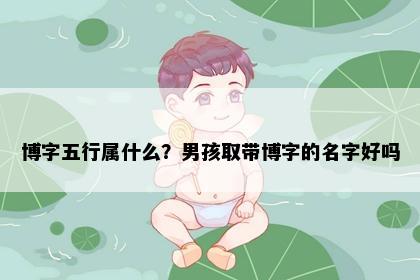 博字五行属什么?男孩取带博字的名字好吗