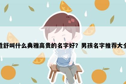 姓舒叫什么典雅高贵的名字好？男孩名字推荐大全