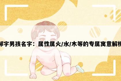 郝字男孩名字：属性属火/水/木等的专属寓意解析