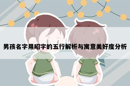男孩名字用昭字的五行解析与寓意美好度分析