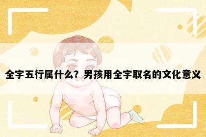 全字五行属什么？男孩用全字取名的文化意义