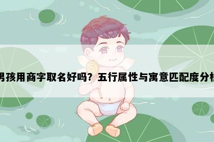 男孩用商字取名好吗？五行属性与寓意匹配度分析
