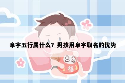阜字五行属什么?男孩用阜字取名的优势