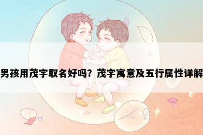男孩用茂字取名好吗？茂字寓意及五行属性详解