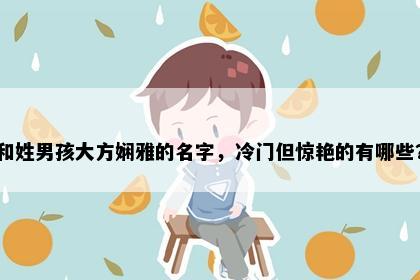 和姓男孩大方娴雅的名字，冷门但惊艳的有哪些？