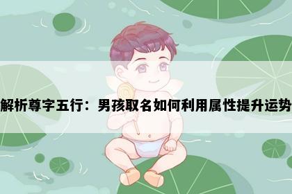 解析尊字五行：男孩取名如何利用属性提升运势