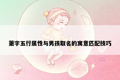 萧字五行属性与男孩取名的寓意匹配技巧