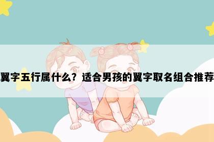 翼字五行属什么？适合男孩的翼字取名组合推荐