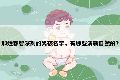 那姓睿智深刻的男孩名字，有哪些清新自然的？