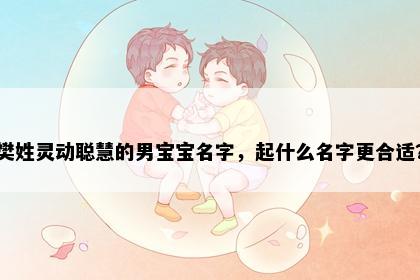 樊姓灵动聪慧的男宝宝名字，起什么名字更合适？