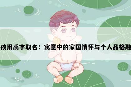 男孩用禹字取名：寓意中的家国情怀与个人品格融合