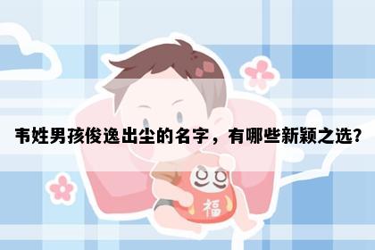 韦姓男孩俊逸出尘的名字，有哪些新颖之选？