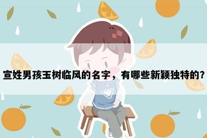 宣姓男孩玉树临风的名字，有哪些新颖独特的？