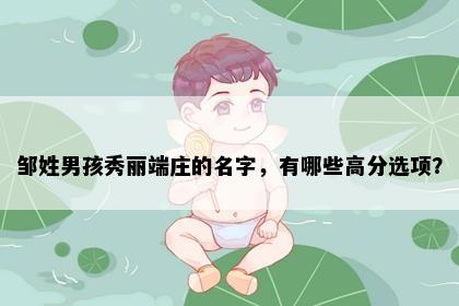 邹姓男孩秀丽端庄的名字,有哪些高分选项?