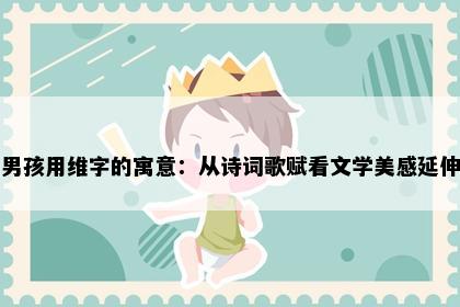 男孩用维字的寓意：从诗词歌赋看文学美感延伸