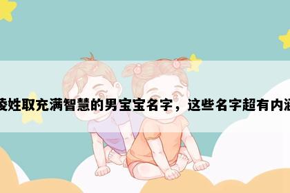 凌姓取充满智慧的男宝宝名字，这些名字超有内涵