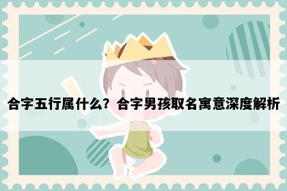 合字五行属什么？合字男孩取名寓意深度解析
