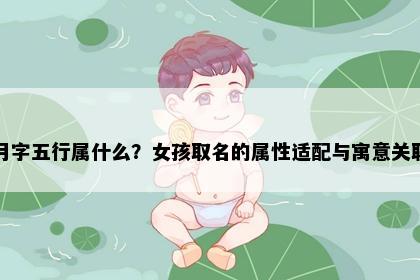 月字五行属什么？女孩取名的属性适配与寓意关联