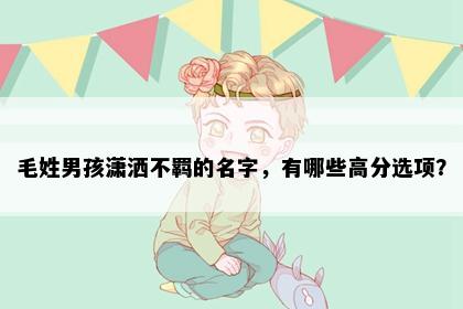 毛姓男孩潇洒不羁的名字，有哪些高分选项？