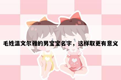 毛姓温文尔雅的男宝宝名字，这样取更有意义