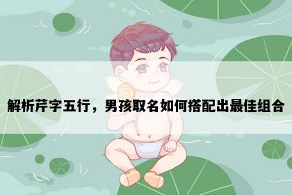 解析芹字五行，男孩取名如何搭配出最佳组合