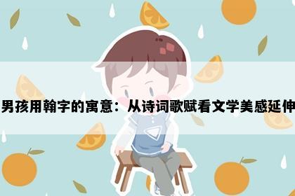 男孩用翰字的寓意：从诗词歌赋看文学美感延伸