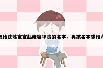 想给沈姓宝宝起雍容华贵的名字，男孩名字求推荐