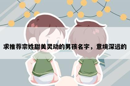 求推荐宗姓甜美灵动的男孩名字，意境深远的