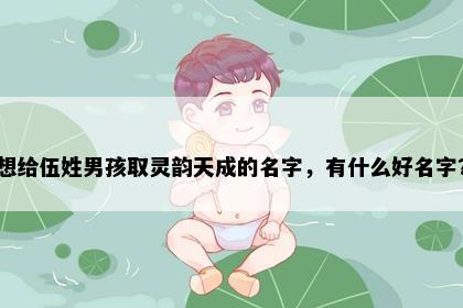 想给伍姓男孩取灵韵天成的名字，有什么好名字？