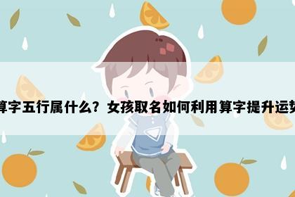 算字五行属什么？女孩取名如何利用算字提升运势