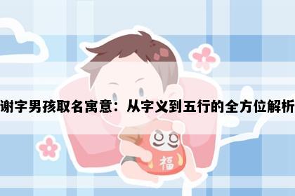 谢字男孩取名寓意：从字义到五行的全方位解析