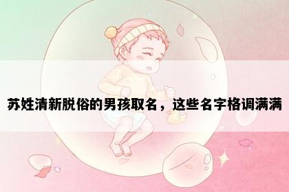 苏姓清新脱俗的男孩取名，这些名字格调满满