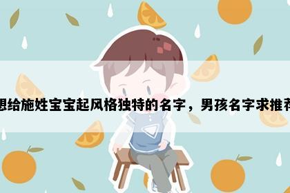 想给施姓宝宝起风格独特的名字，男孩名字求推荐