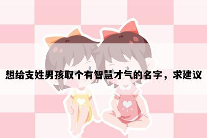 想给支姓男孩取个有智慧才气的名字，求建议