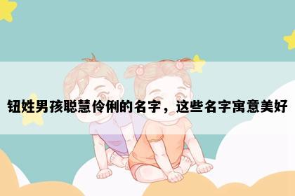 钮姓男孩聪慧伶俐的名字，这些名字寓意美好
