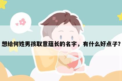 想给何姓男孩取意蕴长的名字，有什么好点子？