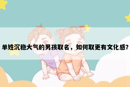 单姓沉稳大气的男孩取名，如何取更有文化感？
