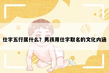 仕字五行属什么？男孩用仕字取名的文化内涵